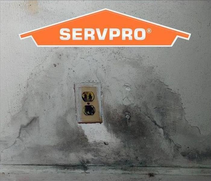Smoke and Soot Damage caused by electrical fire
