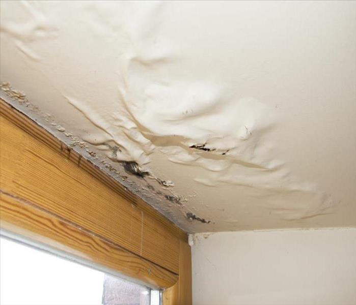 We are professionals for maintence cleaning