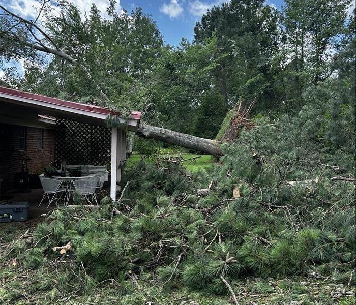 Tree on house